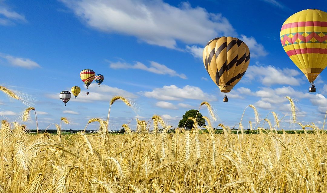 Harvesting the Good Things